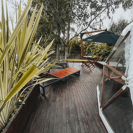 Domus Glamping Guatape Hotel Ngoại thất bức ảnh