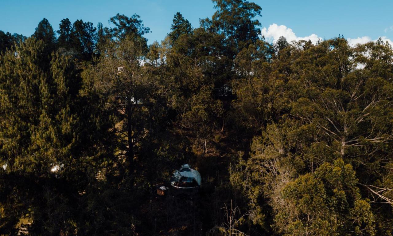 Domus Glamping Guatape Hotel Ngoại thất bức ảnh